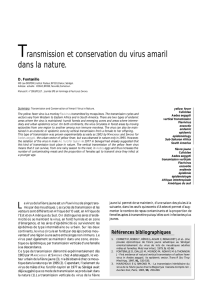 Transmission et conservation du virus amaril dans la nature.