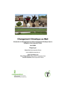 Changement Climatique au Mali-final-20.5.09