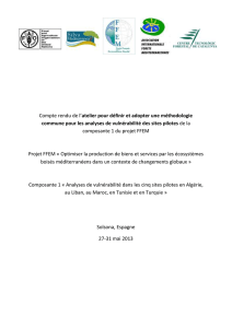 Report of the Workshop in Solsona to define and adopt a common