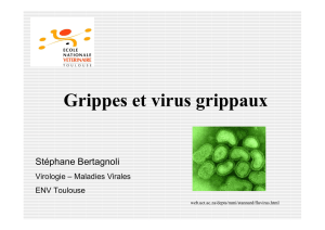 Bertagnoli biologie virus grippaux