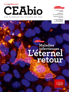 Maladies infectieuses