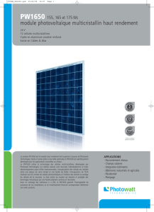 module photovoltaïque multicristallin haut rendement
