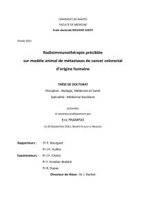 Radioimmunoth&eacute;rapie pr&eacute;cibl&eacute;e sur mod&egrave;le animal de m&eacute;tastases
