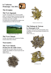 Eté 2012 Thé d`origine Thé Vert Japonais Thé Vert Chinois