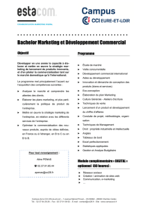 Bachelor Marketing et Développement Commercial International