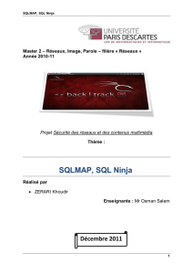 SQLMAP, SQL Ninja - Projet Tutoré Master