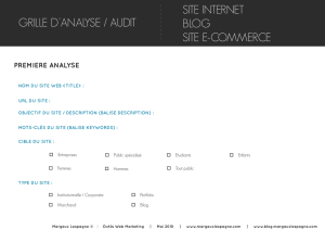 grille d`analyse / audit site internet blog site e-commerce