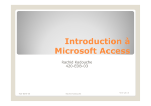 Introduction Microsoft Access