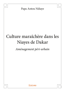 Culture maraîchère dans les Niayes de Dakar