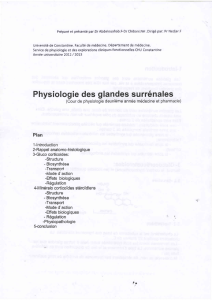 Physiologie des glandes surrénales