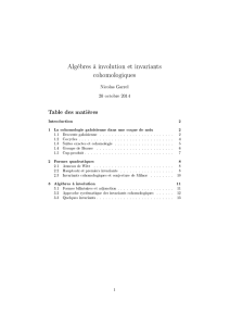 Algèbres à involution et invariants cohomologiques