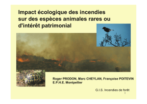 Impact écologique des incendies sur des espèces