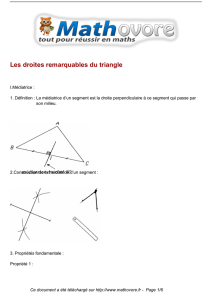 Les droites remarquables du triangle