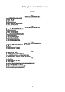 iii les fonctions autour de l`adjectif 1