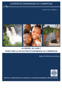 cahiers économiques du cameroun
