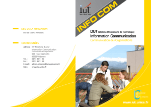 DUT INFO COM Communication des organisations