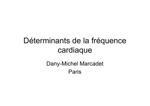 Déterminants de la fréquence cardiaque D