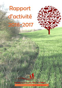 Rapport d`activité 2016-2017 - Fédérations des Chasseurs de Midi