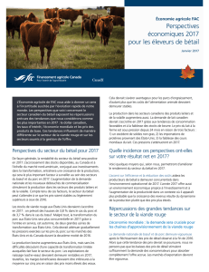 Perspectives économiques 2017 pour les éleveurs de bétail