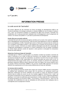 information presse
