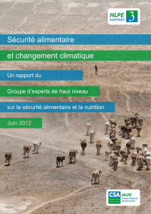 Sécurité alimentaire et changement climatique