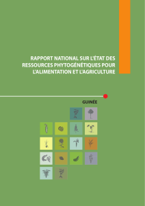 rapport national sur l`état des ressources phytogénétiques pour l