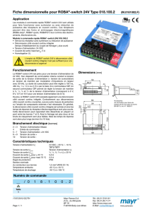 ROBA-switch 24V Type 018.100.2