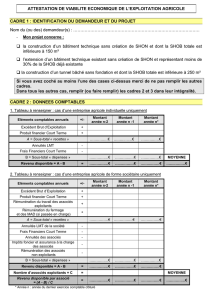 4_-_Viabilite_formulaire_vjuill2010_cle21967f - format : PDF