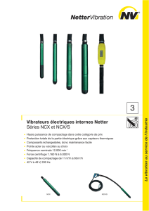 Vibrateurs électriques internes Netter Séries NCX