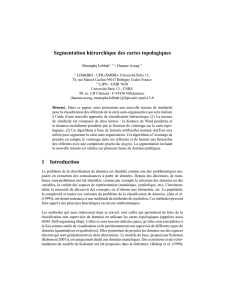 Segmentation hiérarchique des cartes topologiques 1 Introduction