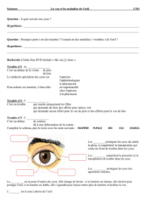 Sciences La vue et les maladies de l`oeil. CM1 Question : A quoi