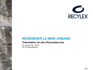 1. Le groupe Recylex