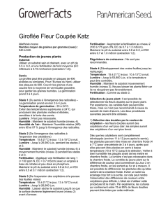 Giroflée Fleur Coupée Katz