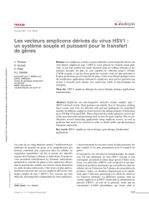 Les vecteurs amplicons dérivés du virus HSV1