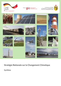 Stratégie Nationale sur le Changement Climatique