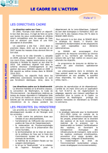 le cadre de l`action - Préfecture de Loire