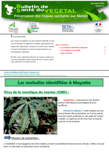 Les maladies identifiées à Mayotte
