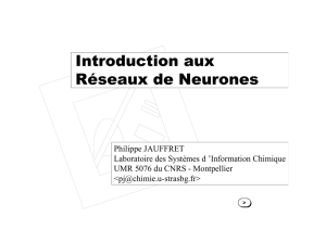 Introduction aux Réseaux de Neurones
