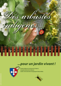 pour un jardin vivant - Municipalité de St