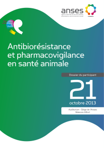 Antibiorésistance et pharmacovigilance en santé animale
