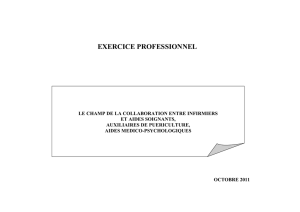 Exercice professionnel