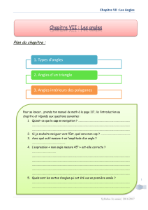 Chapitre VII : Les Angles