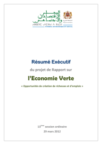 Résumé exécutif du rapport sur l`économie verte.