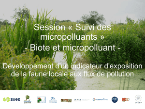 Biote et Micropolluants, Amélie Sellier, laboratoire LERES