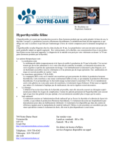 Hyperthyroïdie féline - Clinique Vétérinaire Notre-Dame