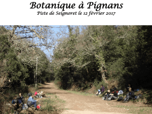 Botanique à Pignans 16 février 2017