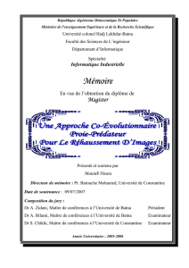 application java -mise 2007