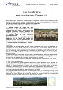 Virus de Shmallenberg 2 cas en France 27 Janvier 2012