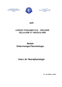 Cours de Neurophysiologie - FSA
