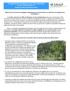 Climate Change 2 - Forests french